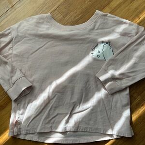 Zara Pink Graphic Top